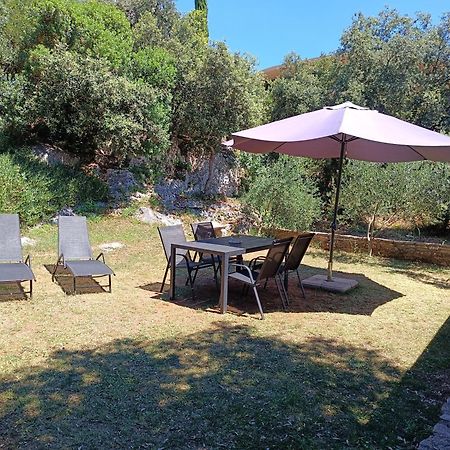 Apartament Garden Pjescana Uvala Zewnętrze zdjęcie