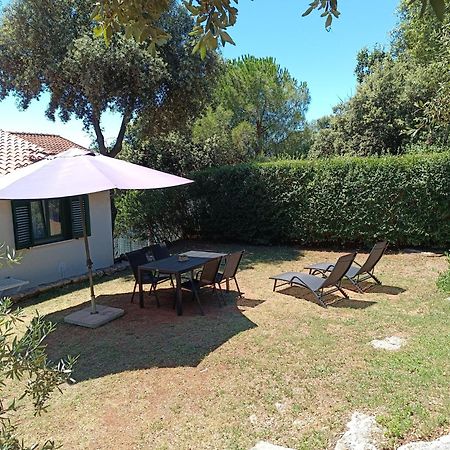 Apartament Garden Pjescana Uvala Zewnętrze zdjęcie